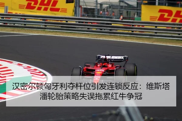 han-mi-er-dun-xiong-ya-li-duo-gan-wei-yin-fa-lian-suo-fan-ying-wei-si-ta-pan-lun-tai-ce-lve-shi-wu-tuo-lei-hong-niu-3-367.jpg